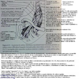 Resumo da anatomia do plexo braquial