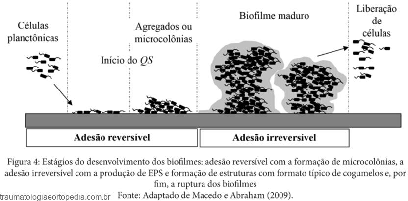Biofilmes bacterianos