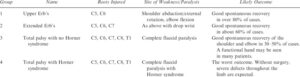 narakas classification of obstetric palsy
