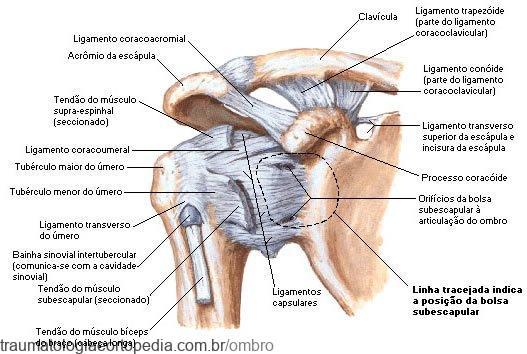Artrose, rotura de tendão e fraturas no ombro  são tratados sem cirurgia