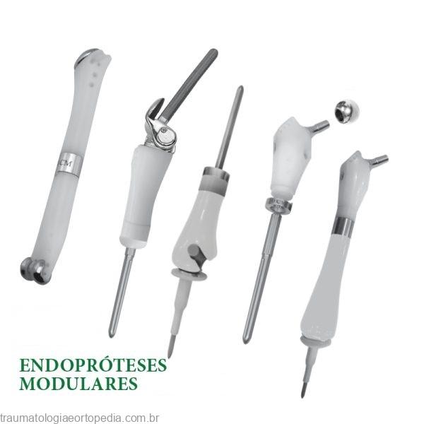 endoproteses modulares