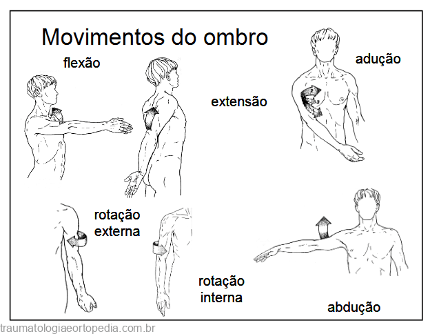 movimentos do ombro